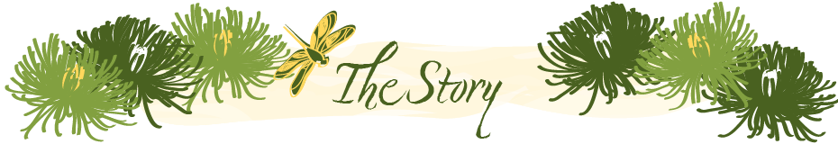 PageHeader_The Story