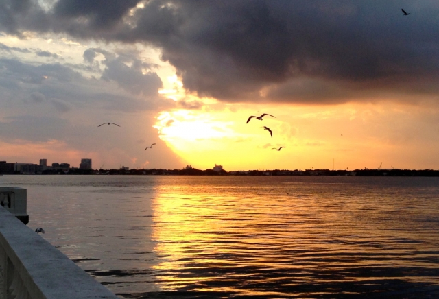 Sunrise On Tampa Bay, 2014