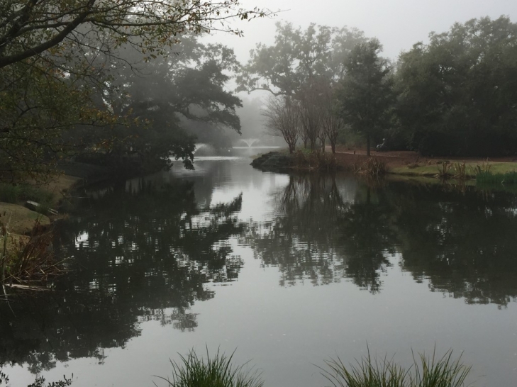 Misty-Alabama-Garden-Magical-First-2015-Reflection-Walk.jpeg