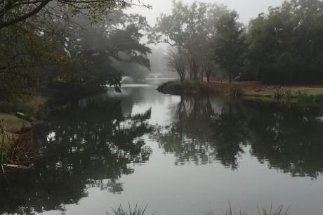 Misty-Alabama-Garden-Magical-First-2015-Reflection-Walk.jpeg