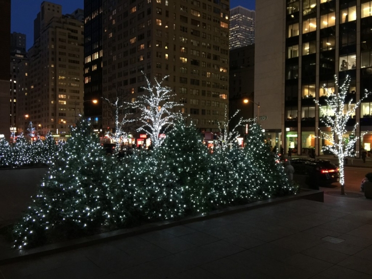 New-York-City-Winter-Nights-Offer-Spectacular-January-Magic.jpeg
