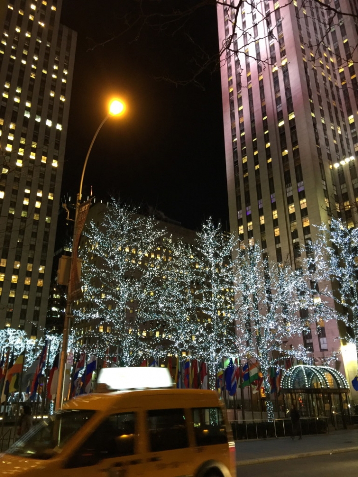 New-York-City-Winter-Nights-Offer-Spectacular-January-Magic-5.jpeg