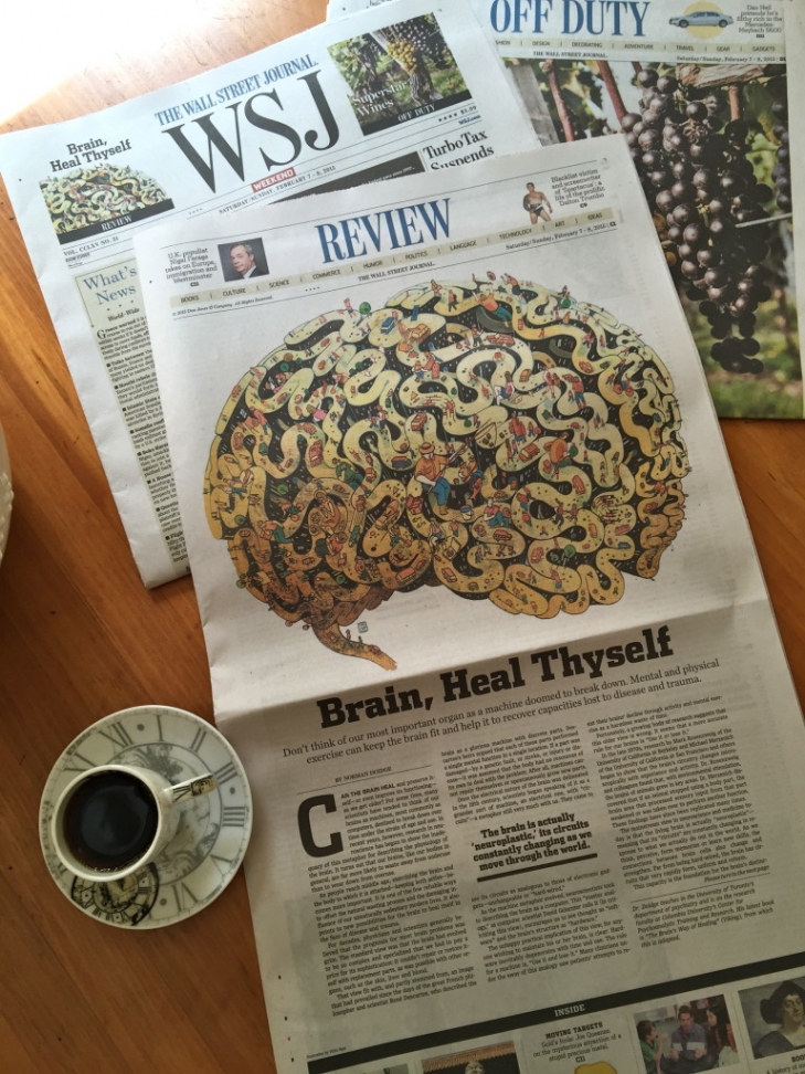 Good-News-Monday:-NYTimes-Reports-Neuroplastic-Brain-Heal-Thyself.jpeg