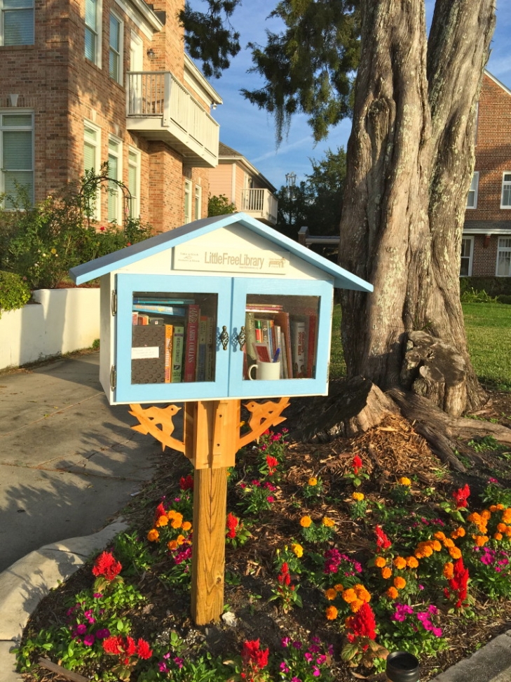 Tampa-Reflection-Walk-Discovery:-Little-Free-Library.jpeg