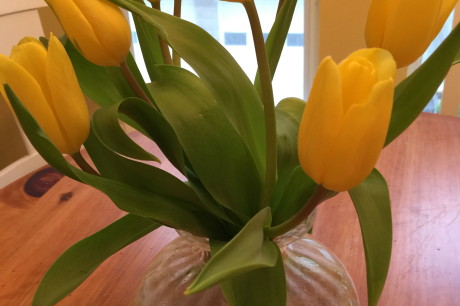 Friday Wellness-Tip:-Bring-Home-Yellow-Tulip-Bouquets.jpeg