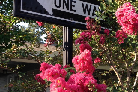 One Way Road Sign