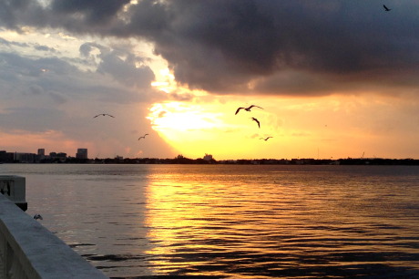 Sunrise On Tampa Bay, 2014