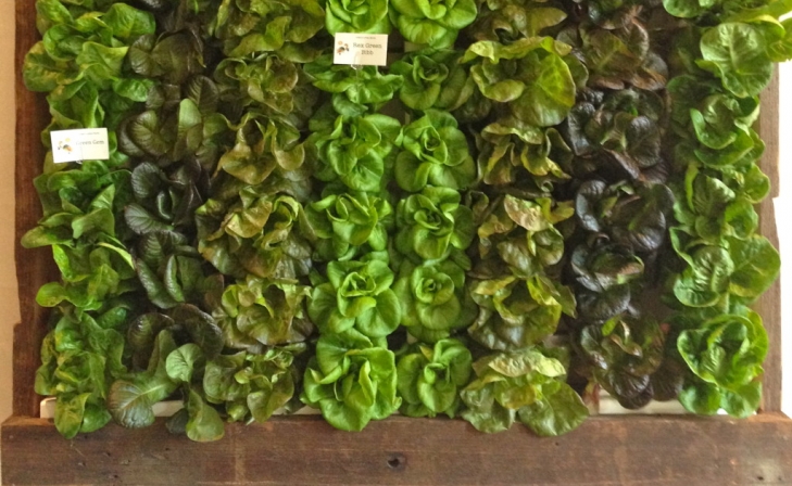 Epicurean Herb Garden Is Real Wall Art