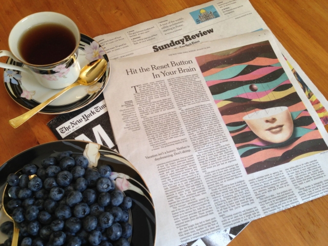 Spansita Loves NYTimes Review, "Hit The Reset Button In Your Brain