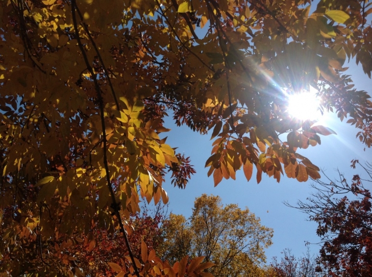 Autumn-Aura-of-Peace.jpeg