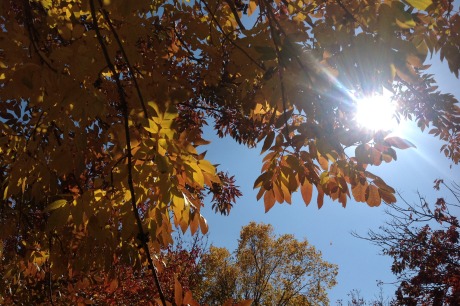 Autumn-Aura-of-Peace.jpeg