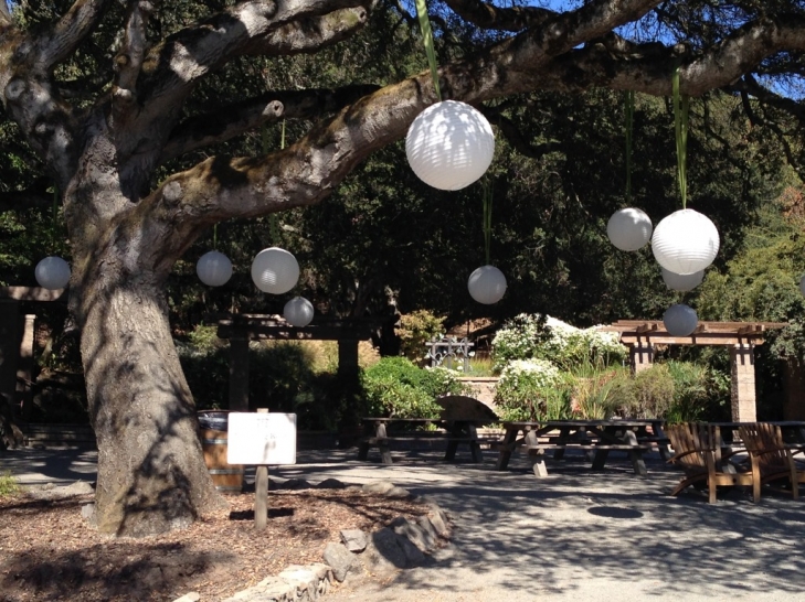 Matanzas-Arrival-Lights.jpeg