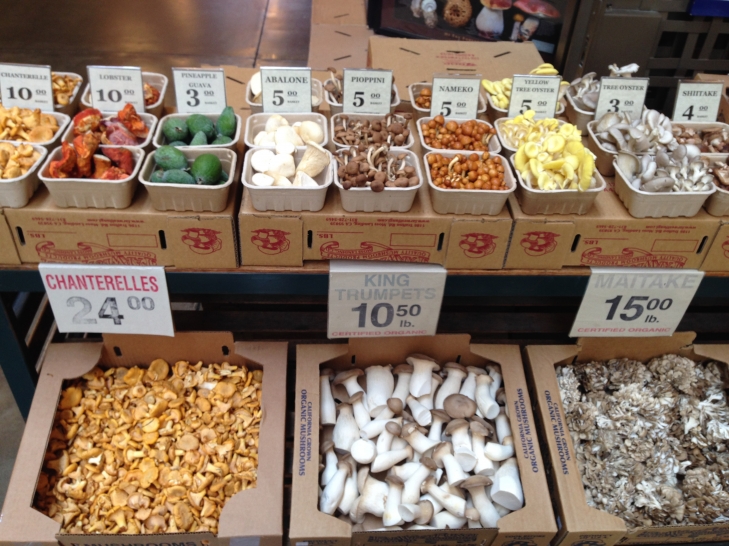 5-Favorite-Indulgences-Ferry-Fungi.jpeg