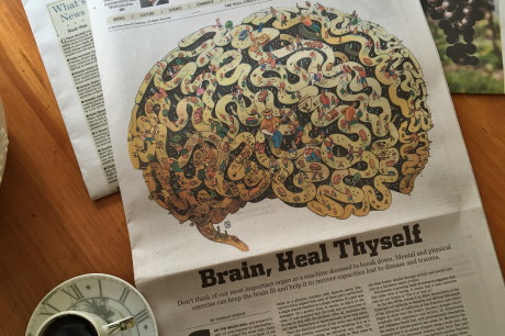 Good-News-Monday:-NYTimes-Reports-Neuroplastic-Brain-Heal-Thyself.jpeg
