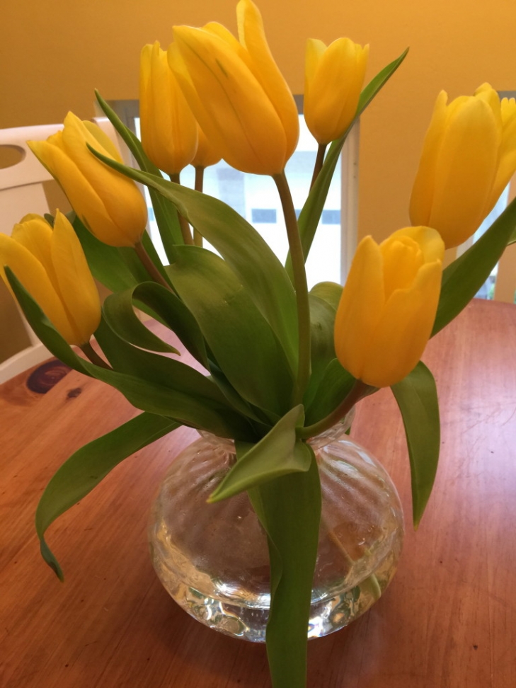 Friday Wellness-Tip:-Bring-Home-Yellow-Tulip-Bouquets.jpeg