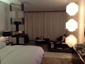 W-Hotel-South-Beach,-Spanista-Adult-Spring-Breakers-Work,-Play,-Shop-2.jpeg