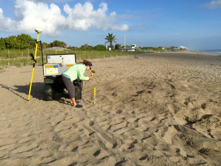 Good-News-Monday:-Jensen-Beach-Promises-Baby-Sea-Turtles-2.jpeg