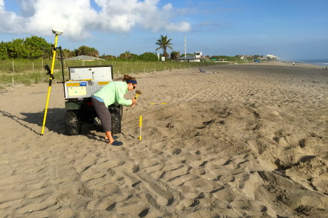 Good-News-Monday:-Jensen-Beach-Promises-Baby-Sea-Turtles-2.jpeg