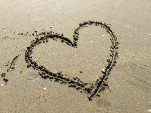 Beachcombing-Practice:-Shell-Hunting-Offers-Soulful-Meditation-4.jpeg