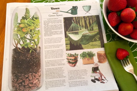 Spanista-Suggests-Personal-Green-Space-Brings-Everyday-Joy.jpeg