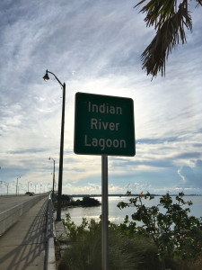Stuart-Florida-Reflection-Walk-Over-Indian-River-Bridge-5.jpeg