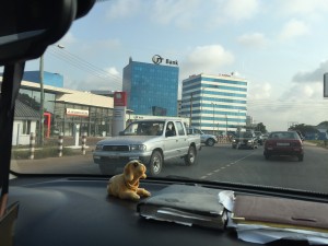 Into-Africa-Adventure-Day-1-2.jpeg