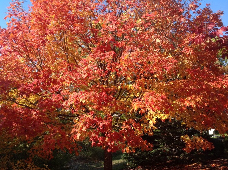 Friday-Wellness-Tip:-Plan-Your-Autumn-Getaway-1.jpeg