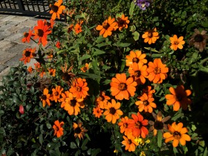 Welcome-Fall:-6-Orange-Crush-Indulgences-3.jpeg