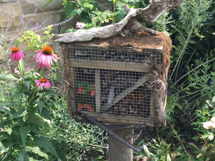 Delightful-Artisan-Birdhouses-For-Nature