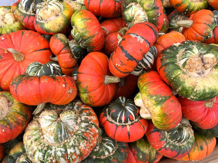 Welcome-Fall:-6-Orange-Crush-Indulgences-1.jpeg
