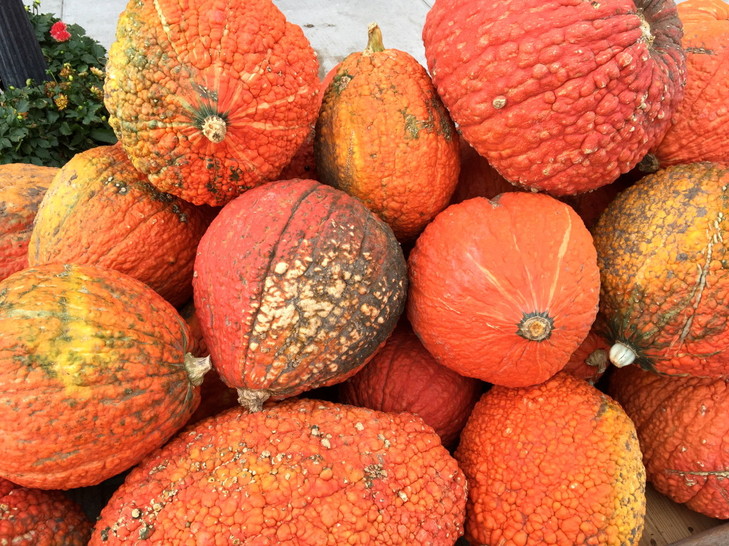 Good-News-Monday:-Green-Thanksgiving-Tastes-Great-4.jpeg