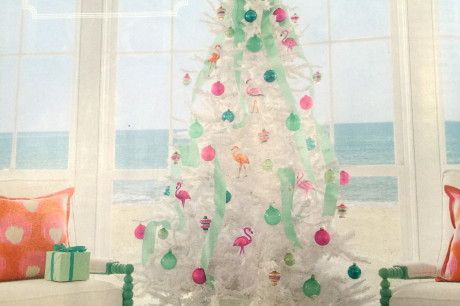 Good-News-Monday:-Florida's-Fresh-Frosty-Flamingo-Holiday-1.jpeg