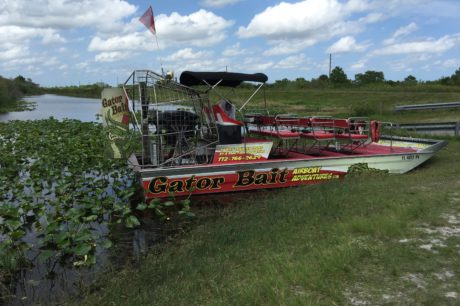 Weekend-Recharge-Unplug-From-Media-Noise-With-Gator-Bait-Airboat-Adventure-1.jpeg